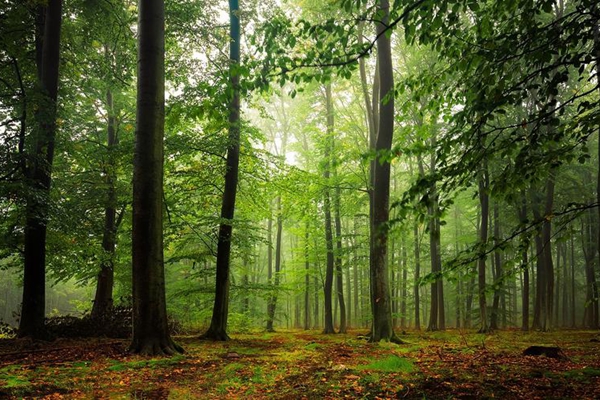 两种不同的人-万荀网