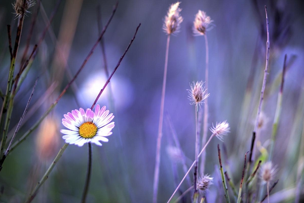 四大名著为什么能称为四大名著这里说得明明白白-万荀网