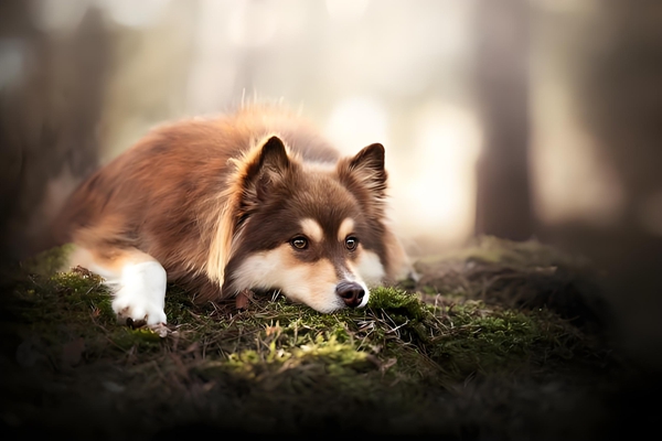 四大名著为什么能称为四大名著这里说得明明白白-万荀网